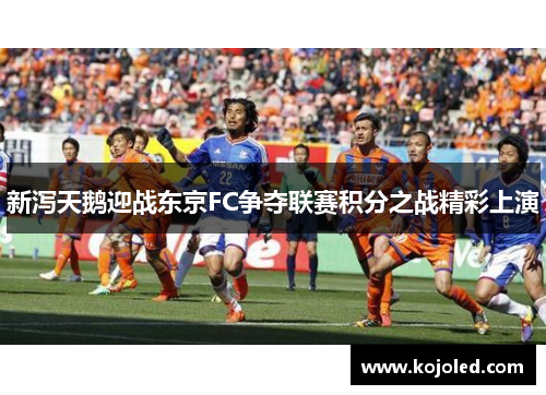新泻天鹅迎战东京FC争夺联赛积分之战精彩上演